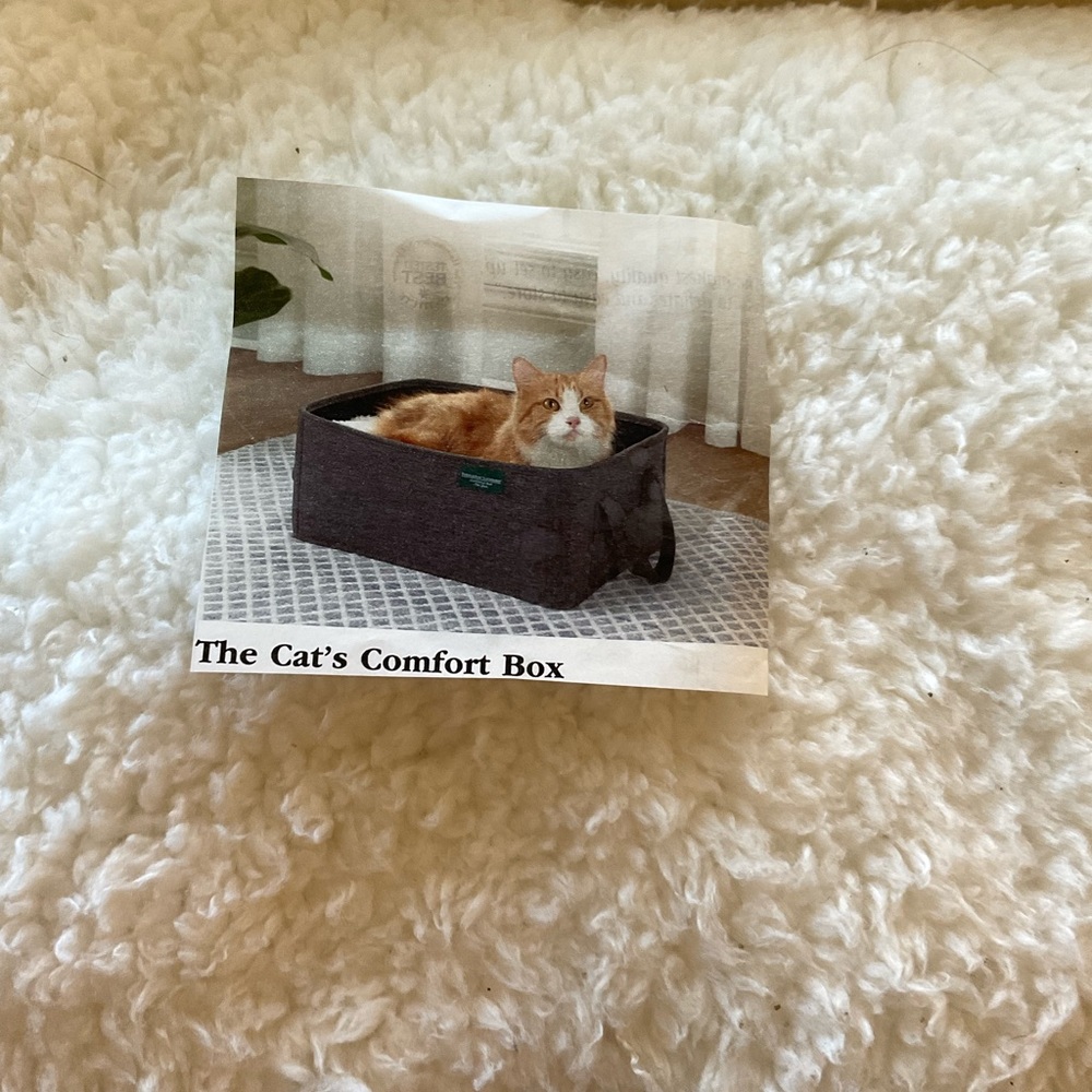 Collapsible Cat Comfort Bed